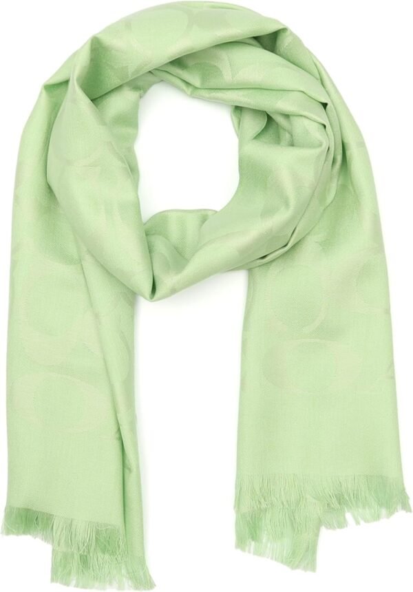 Women C Oblong Scarf